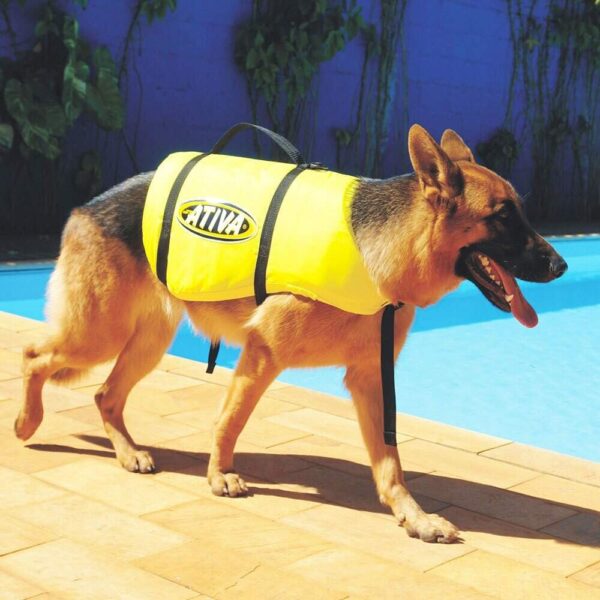 Colete Salva Vidas Ativa Pet M Cachorro - Imagem 4